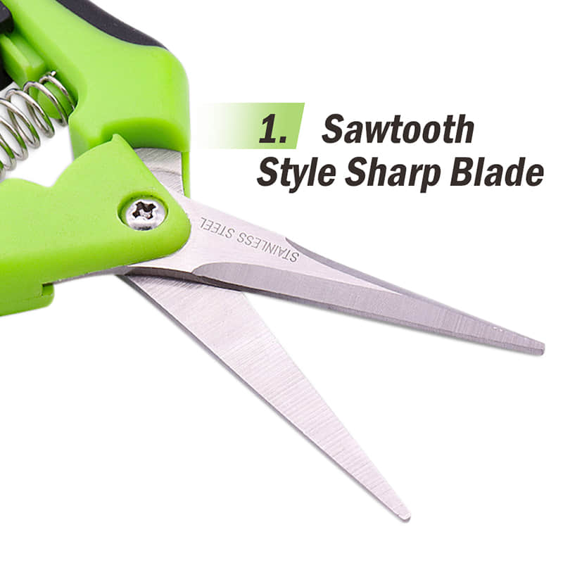 Pruning Shears