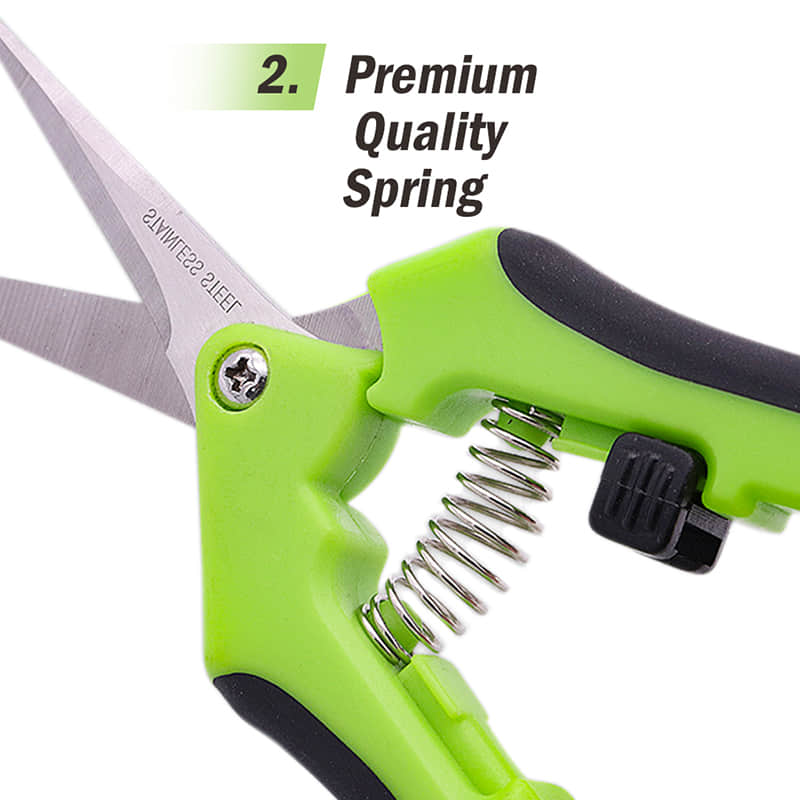 Pruning Shears