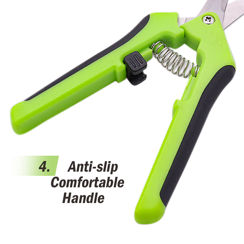 Pruning Shears