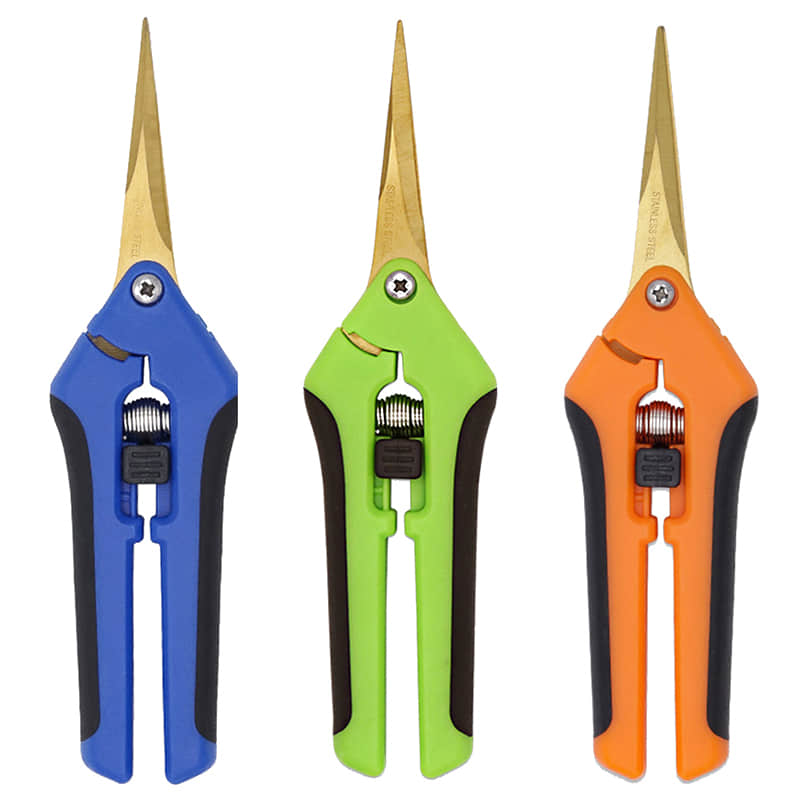 Pruning Shears
