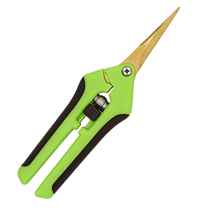 Pruning Shears