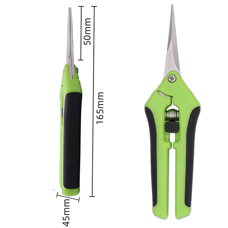 Pruning Shears