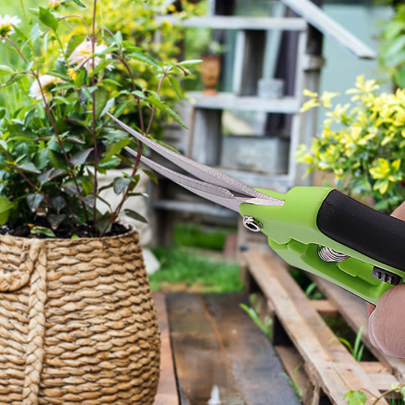 Pruning Shears