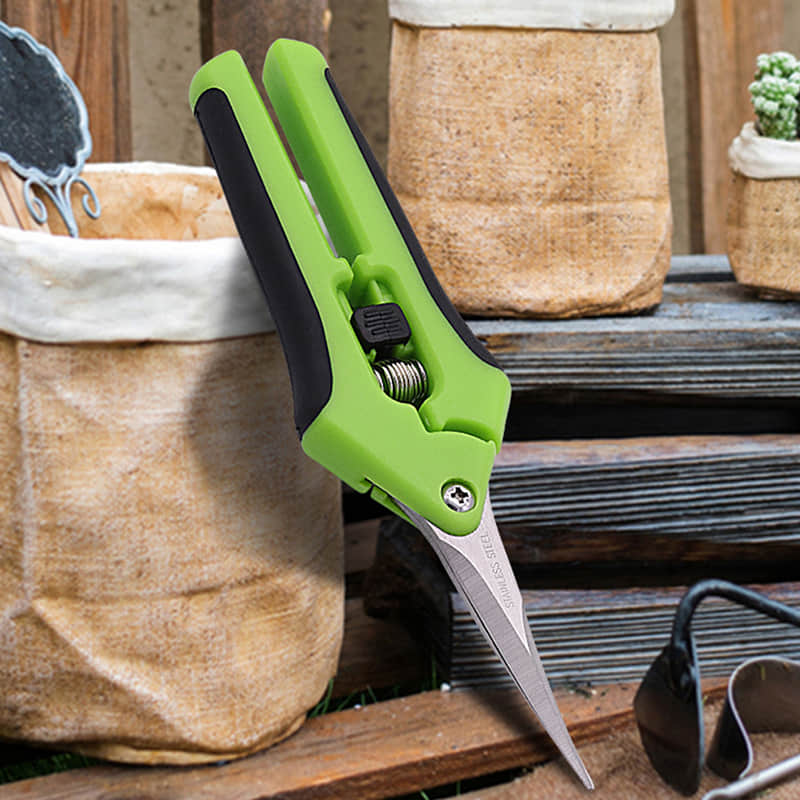 Pruning Shears