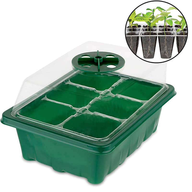 Seedling Box