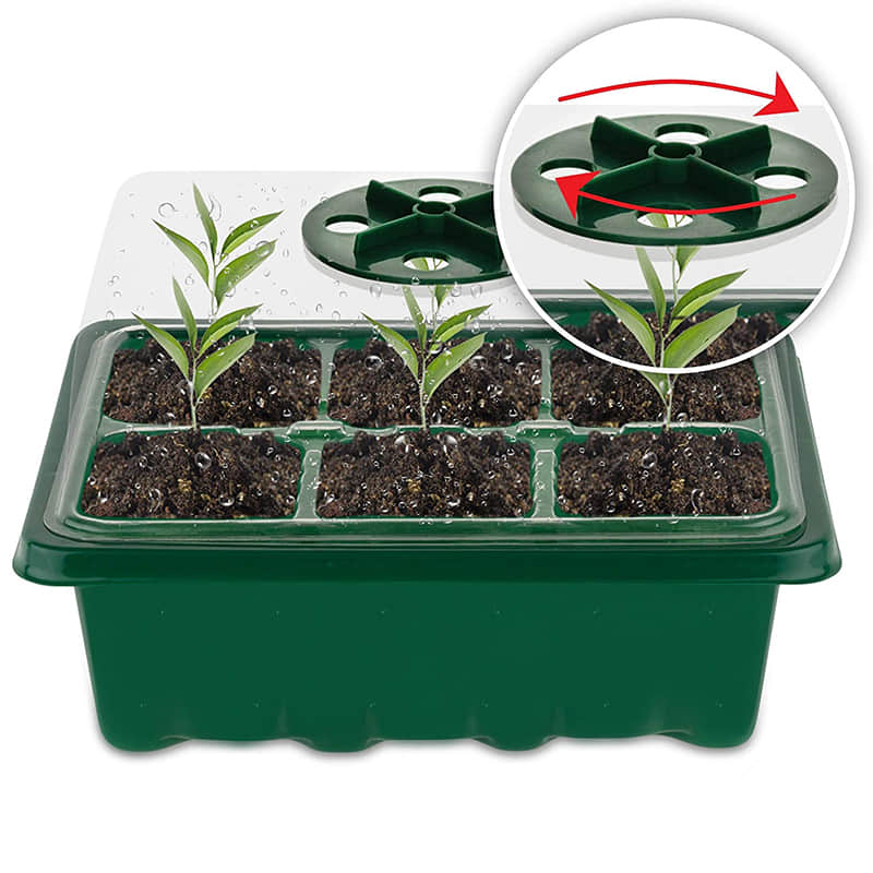Seedling Box