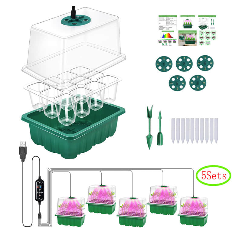 Seedling Box