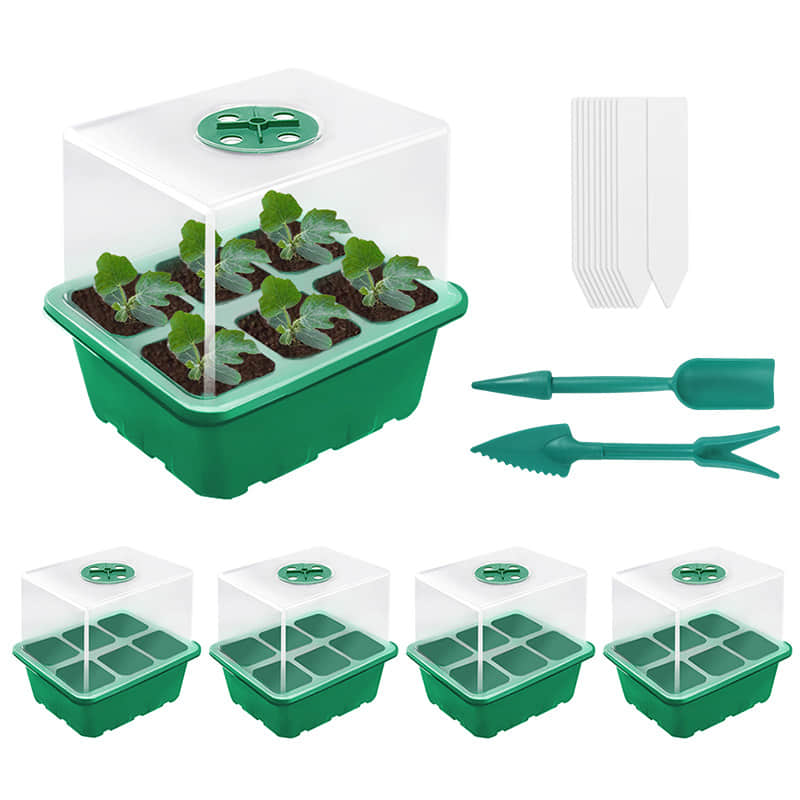 Seedling Box