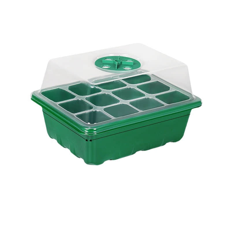 Seedling Box