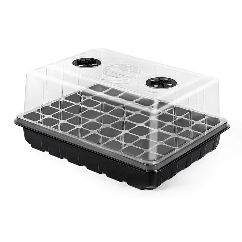 Seedling Box