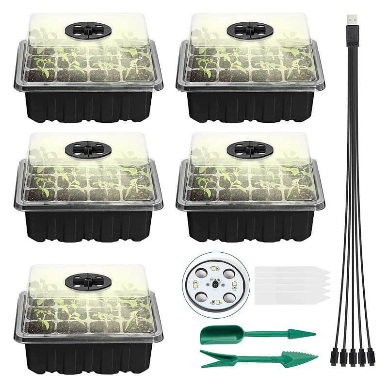 Seedling Box