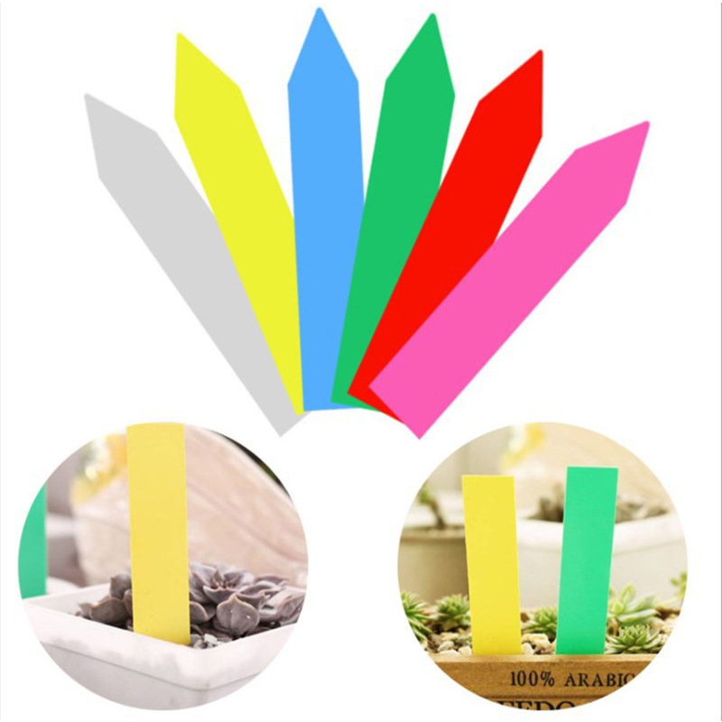 Plant Labels