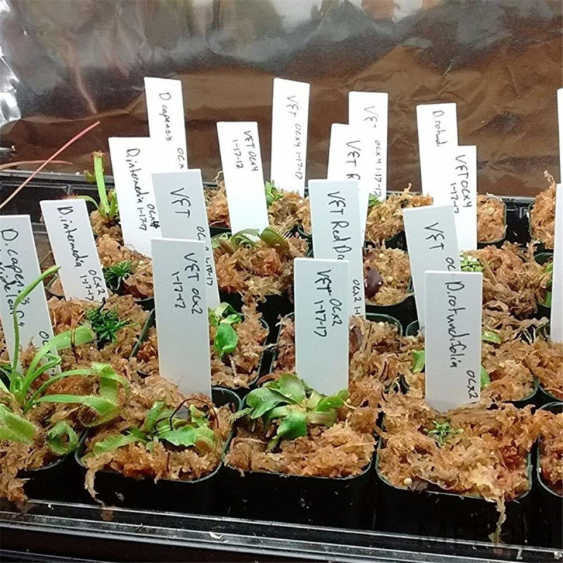 Plant Labels
