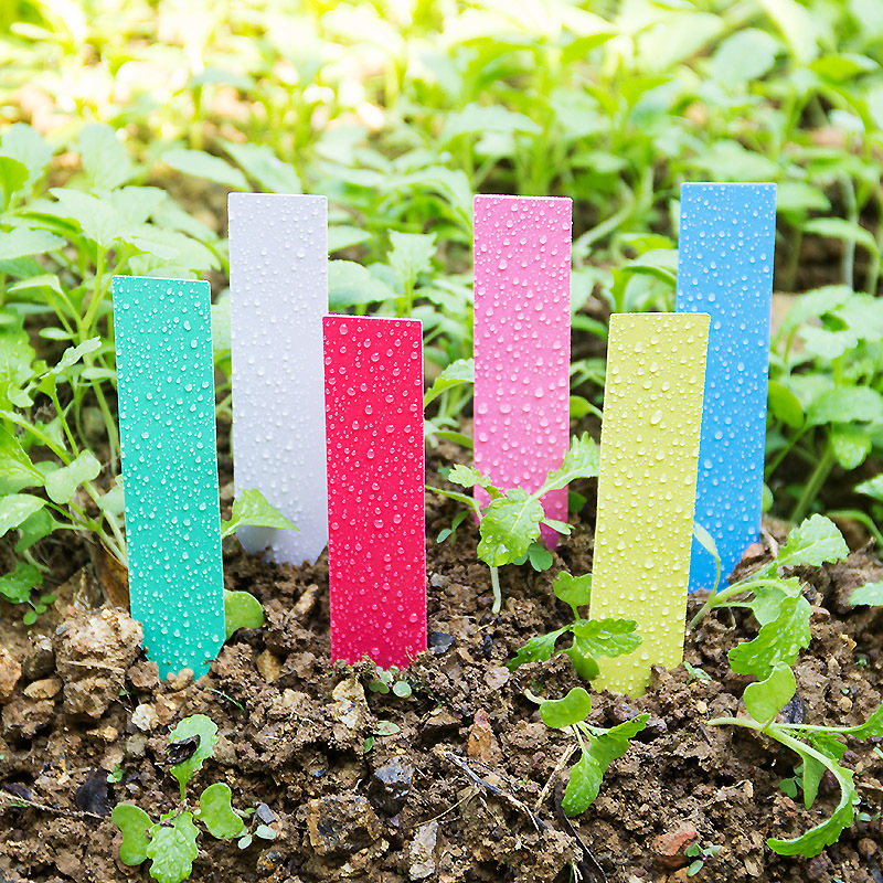 Plant Labels