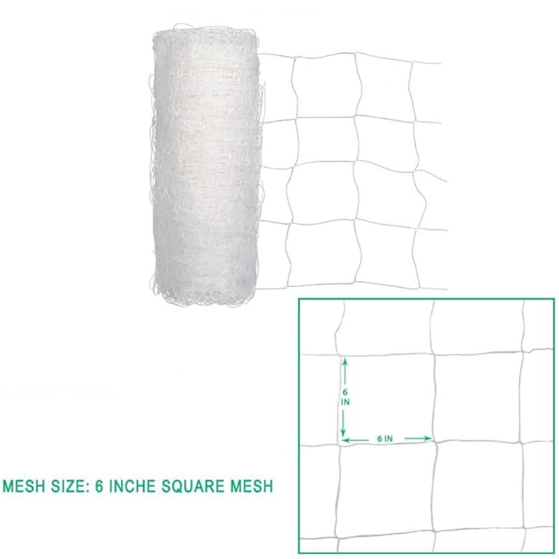 PP Plant Support Net