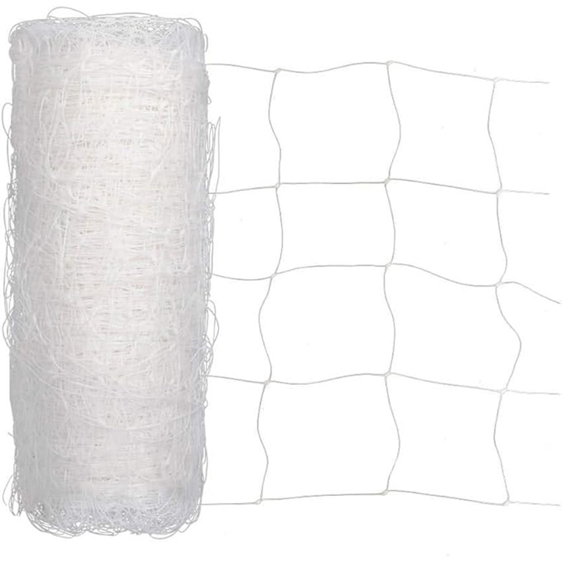 PP Plant Support Net