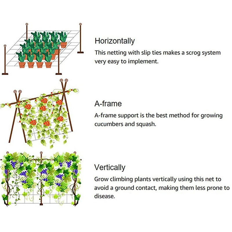 PP Plant Support Net