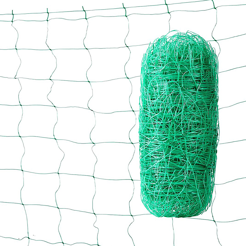 PP Plant Support Net