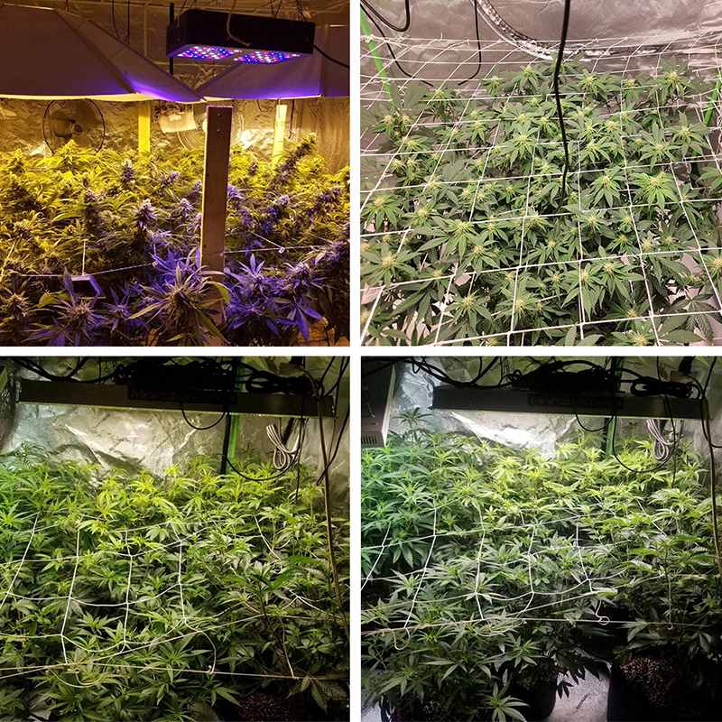 Plant Trellis Net