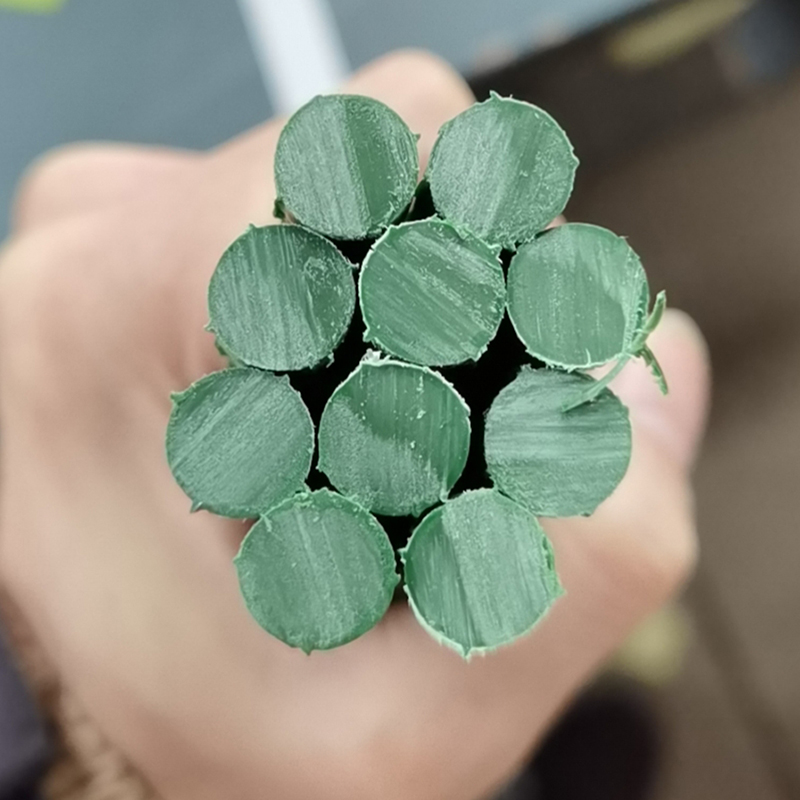Plant Support Poles