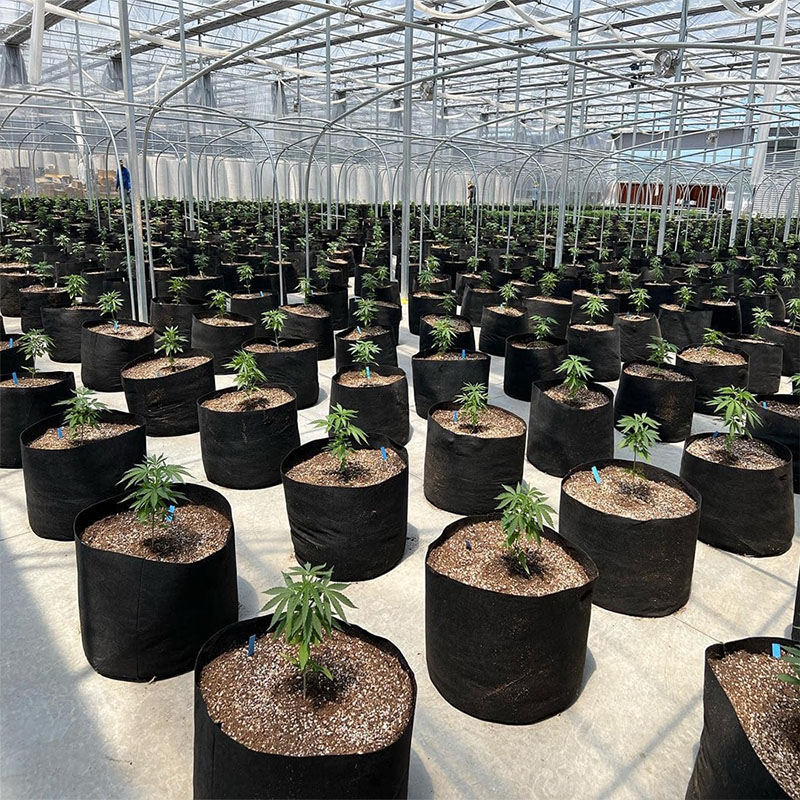 Non-woven Grow Bags