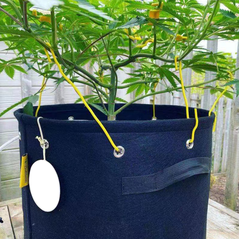 Non-woven Perforated Grow Bags