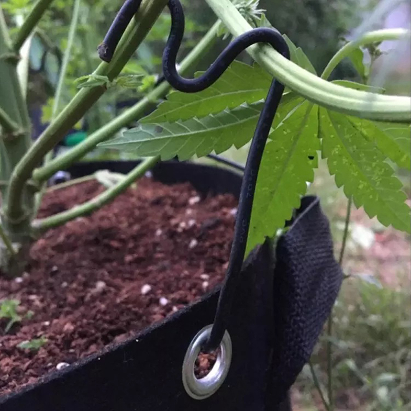 Non-woven Perforated Grow Bags