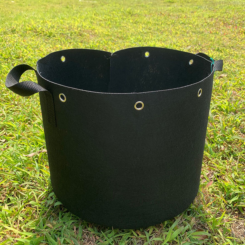 Non-woven Perforated Grow Bags
