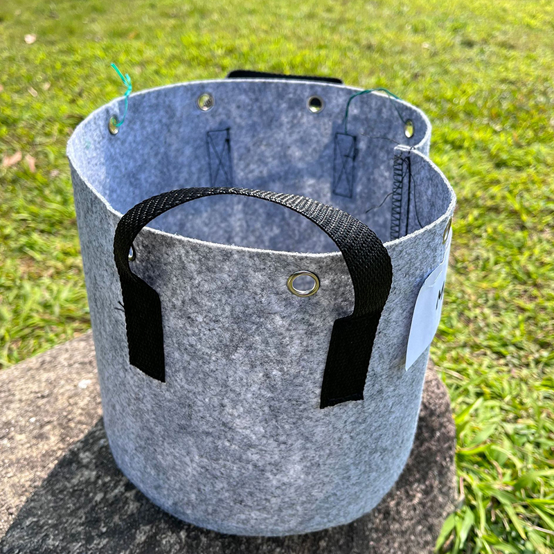Non-woven Perforated Grow Bags