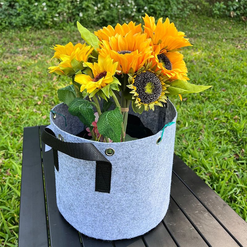 Non-woven Perforated Grow Bags