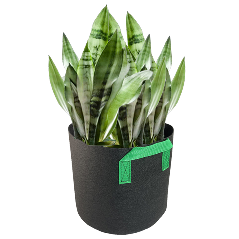 Non-woven Green Handle Planting Bag