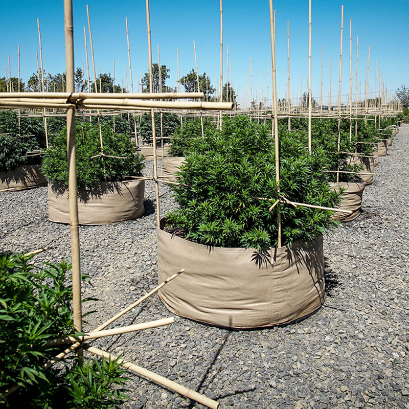 Fabric Grow Bags