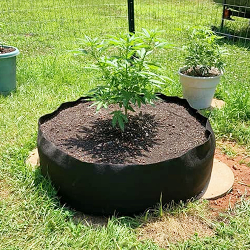 Fabric Grow Bags