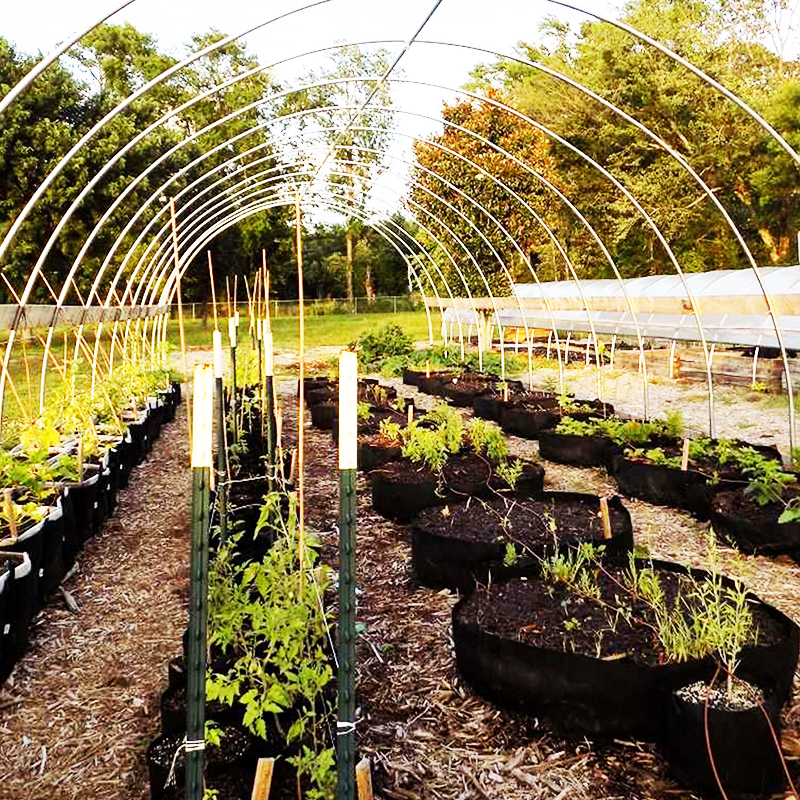 Fabric Grow Bags