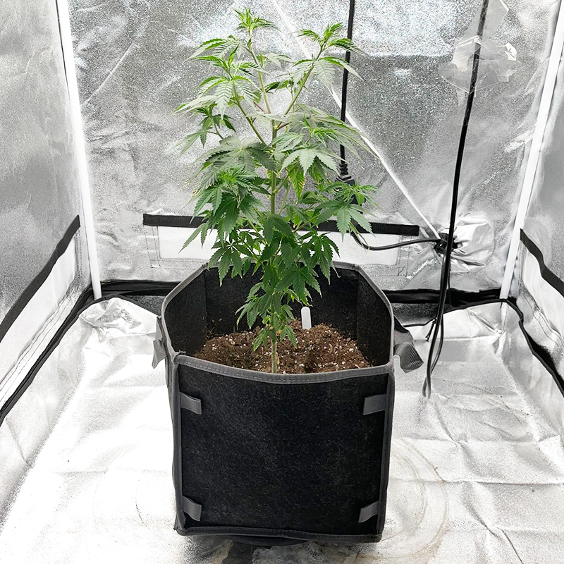 Square Non-woven Planting Bag