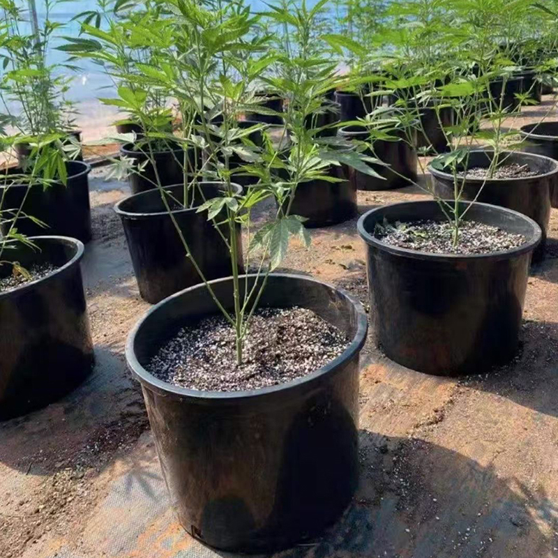 Plastic Flower Pots