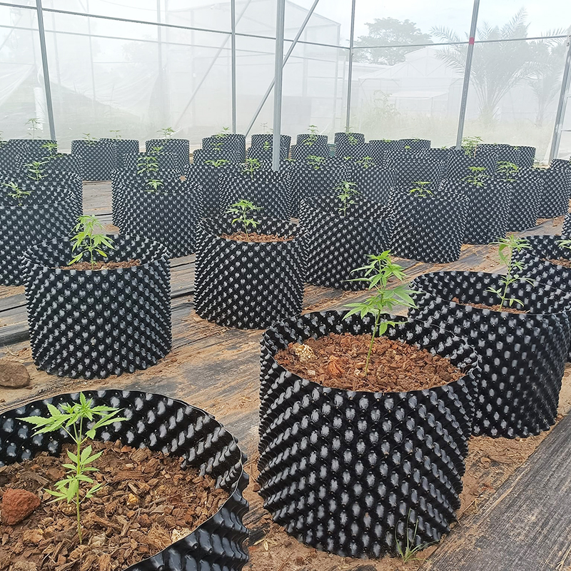 Air Root Pruning Pots