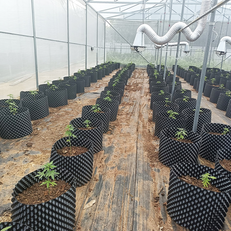 Air Root Pruning Pots