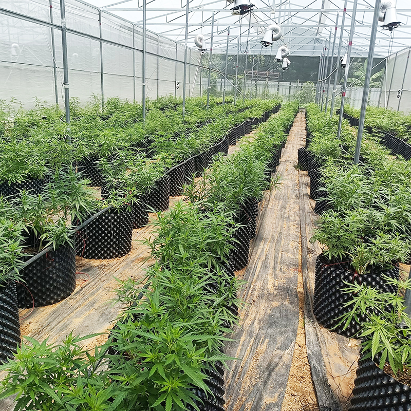 Air Root Pruning Pots
