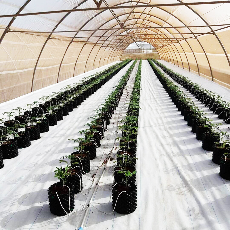 Air Root Pruning Pots