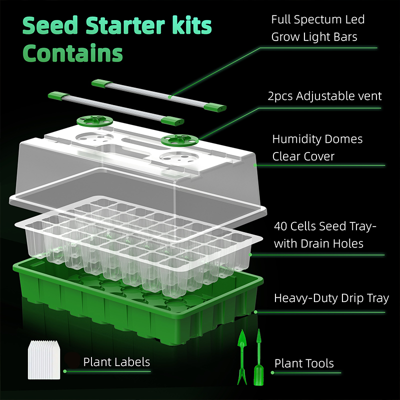 Seedling Box With Growth Light