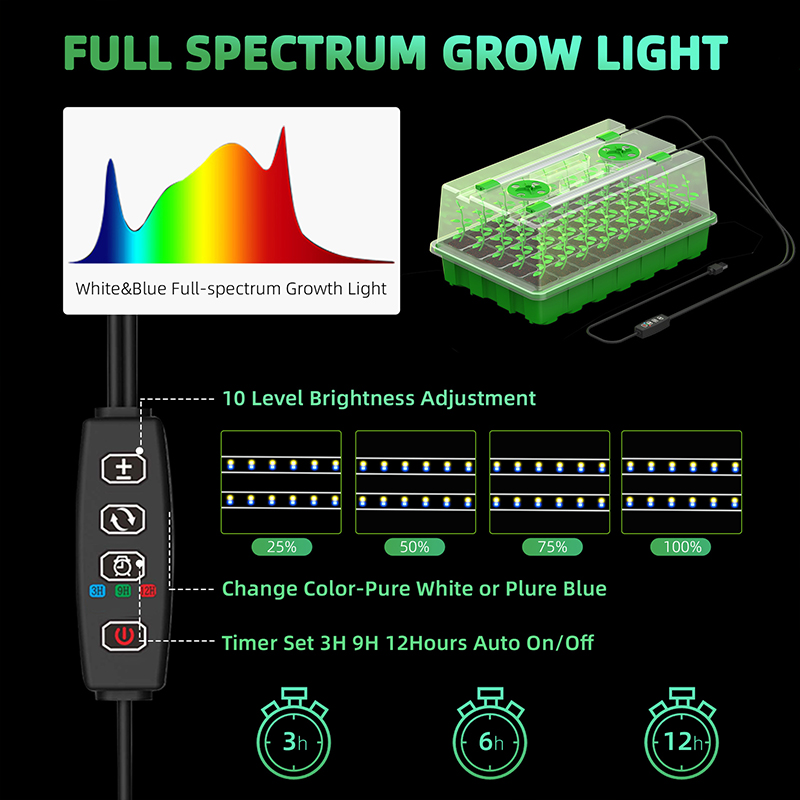 Seedling Box With Growth Light