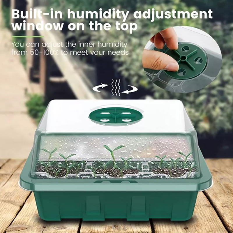 Seedling Box With Growth Light