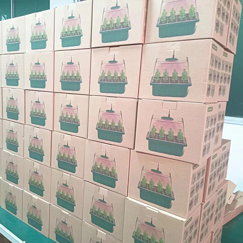 Seedling Box With Growth Light