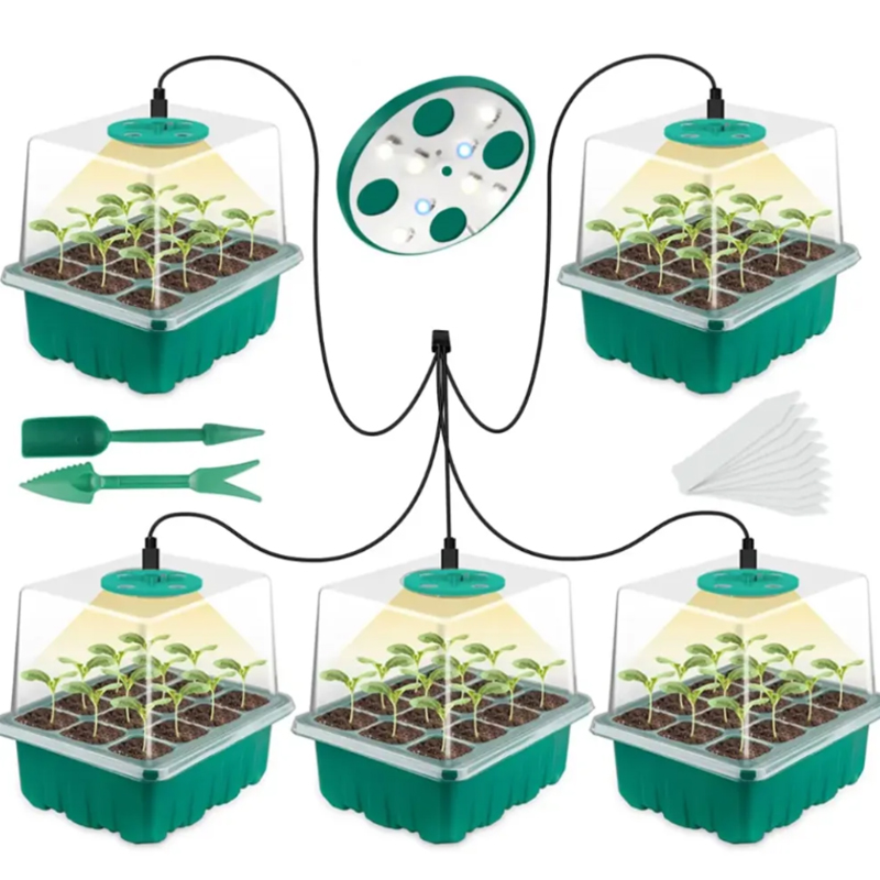 Seedling Box With Growth Light
