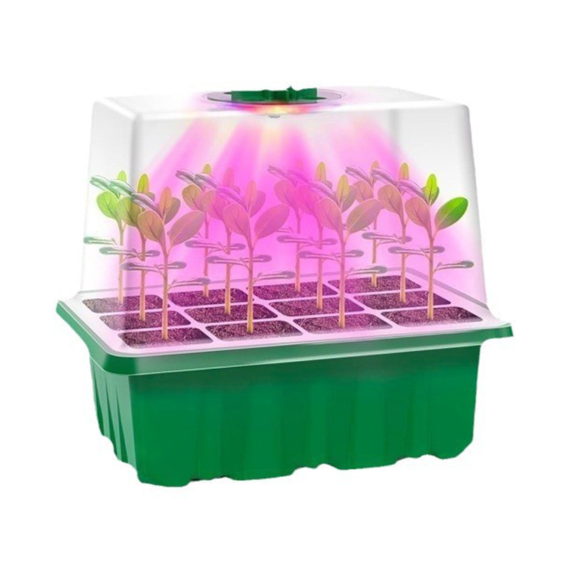 Seedling Box With Growth Light