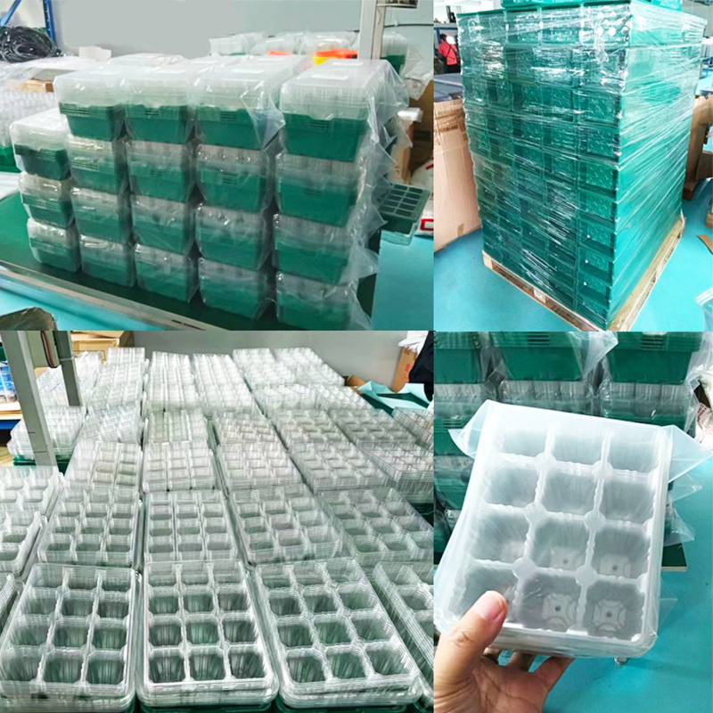 Seedling Box With Growth Light