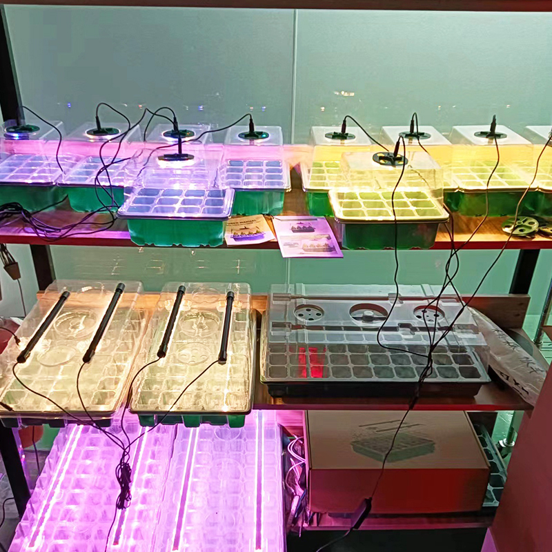 Seedling Box With Growth Light
