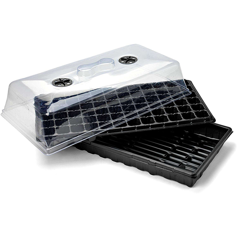 Seedling Tray