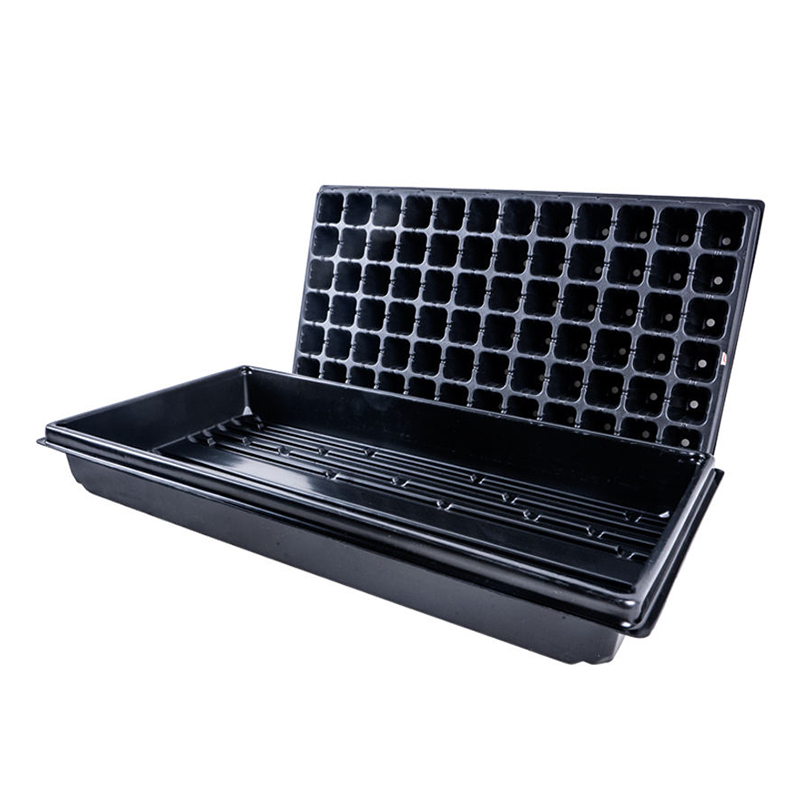 Seedling Tray